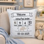 Birth Stat Pillow
